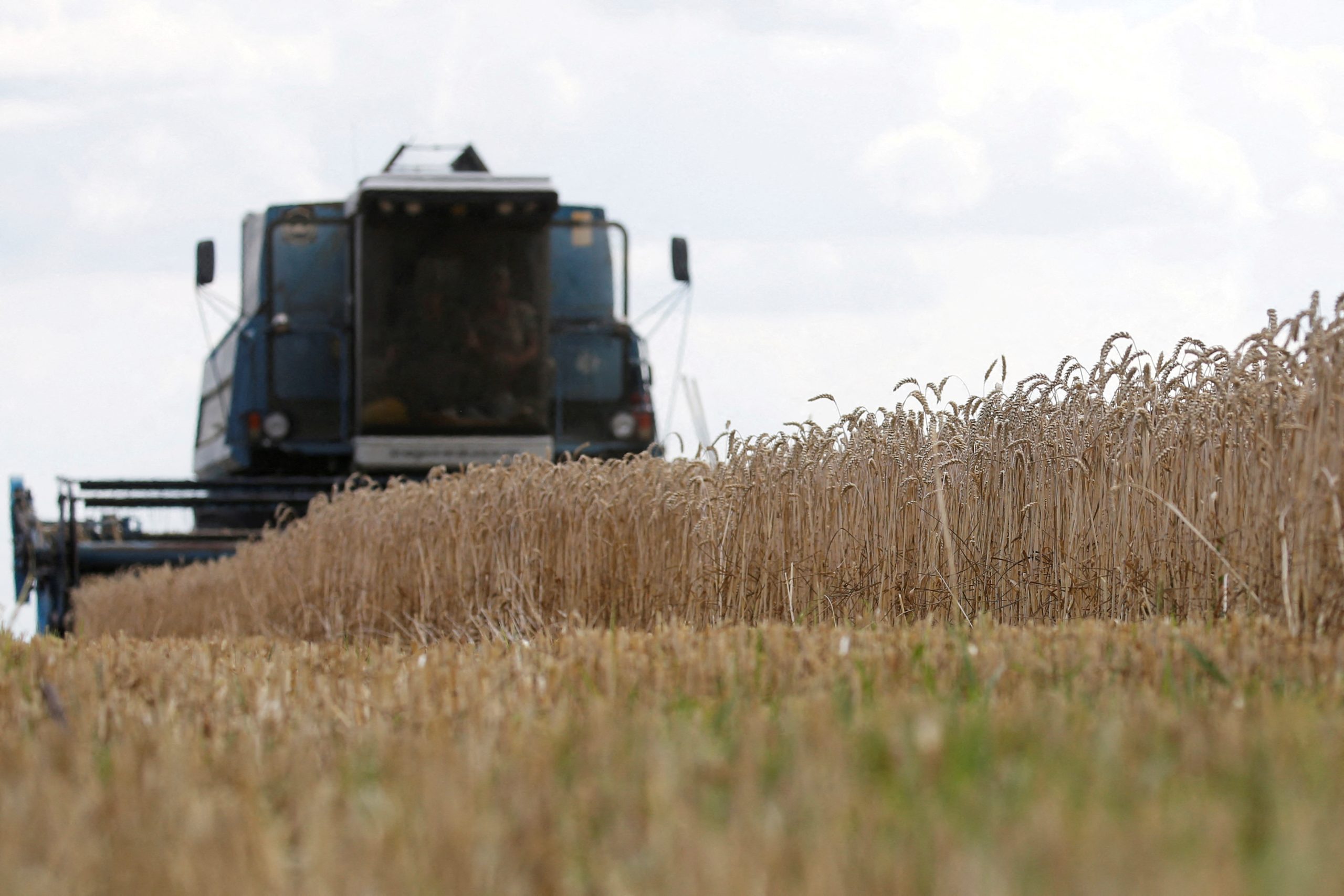 Ukraine Faces Catastrophic Crop Crisis as Black Sea Exports Disappear